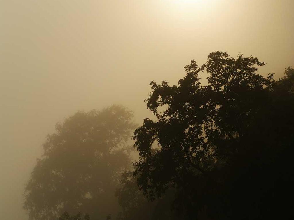 Quality verification